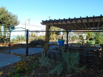 Garden with a pergola structure and various plants, titled Forge Garden.