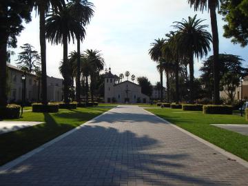 Tree-lined paved walkway with buildings in the background, titled Palm Drive.
